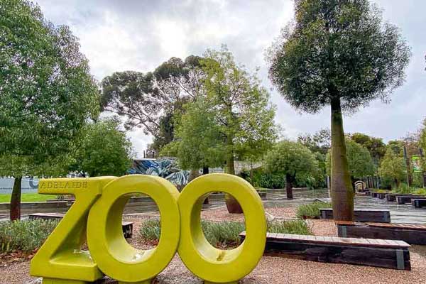 Adelaide Zoo - Lions MD 201 National Convention 2026