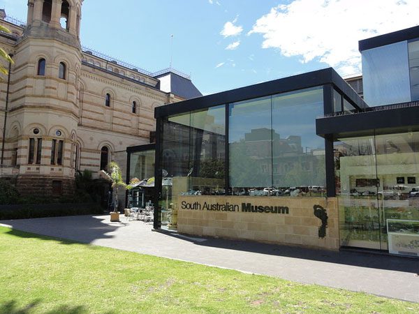 SA Museum - Lions MD 201 National Convention 2026