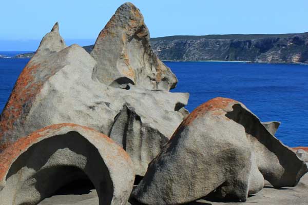 Flinders Chase National Park - Lions MD 201 National Convention 2026