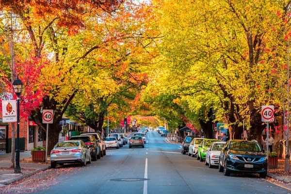 Hahndorf - Lions MD 201 National Convention 2026