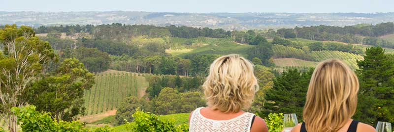 Adelaide Hills wine region - Lions 2026 and beyond