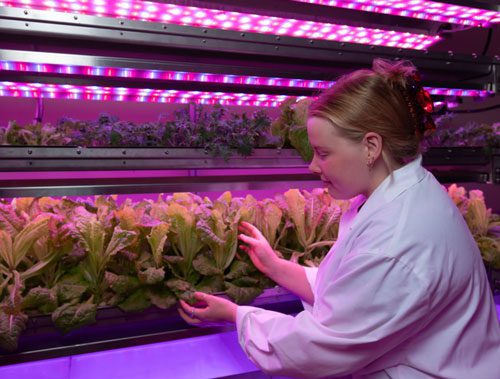 Plants for Space